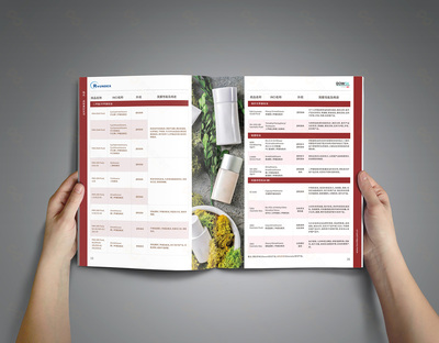 化工產品畫冊設計的方法思路與廣州軟件開發的創新應用